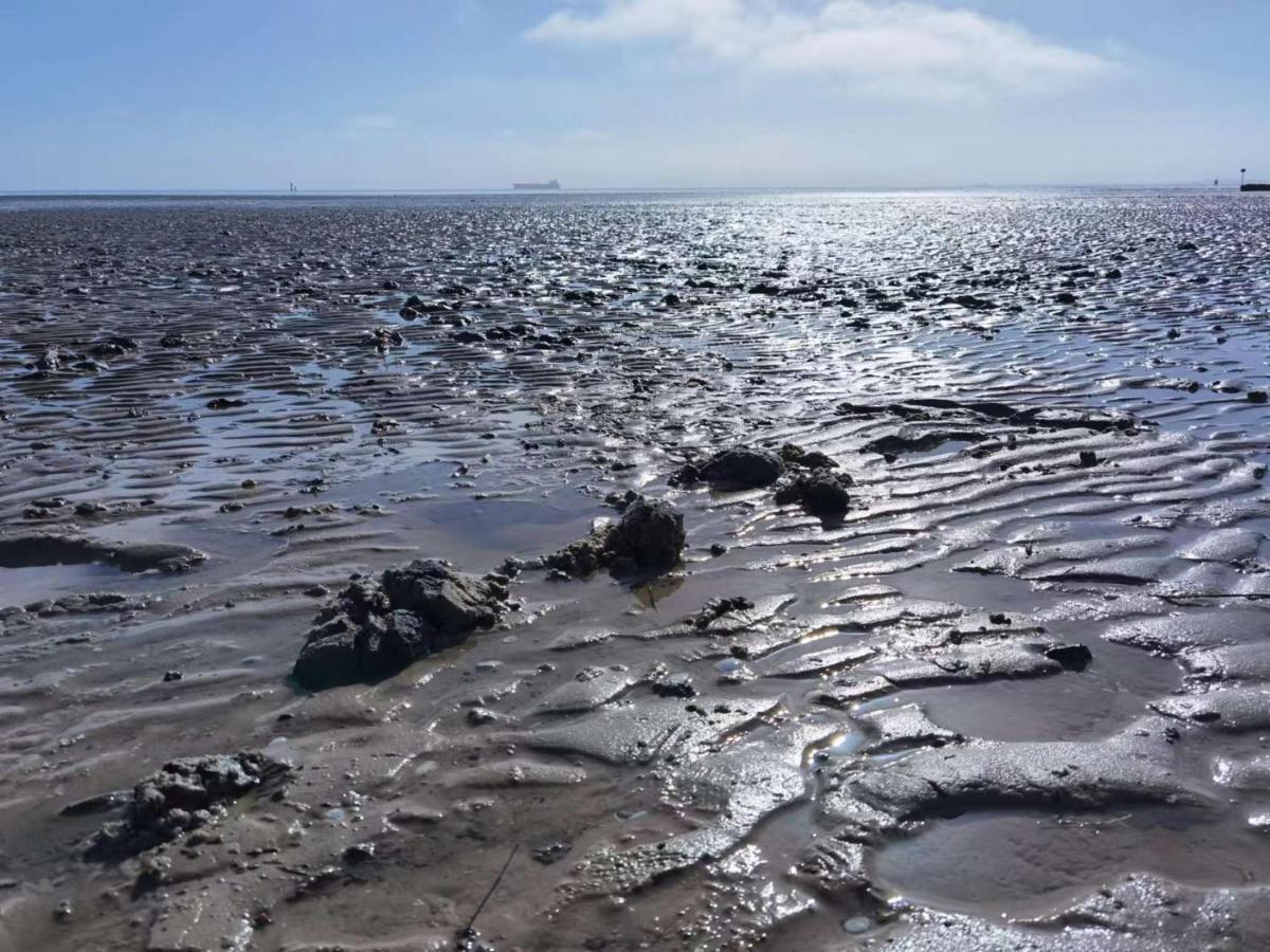 Schaake Schillig-Strandnahe Wohlfuehloase Mit Modernem Flair Und Kostenlosem Parken Dış mekan fotoğraf